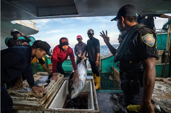 PALAU BEGINS WORKING WITH SKYTRUTH AND PEW TO MONITOR ITS WATERS 2-17-2-016