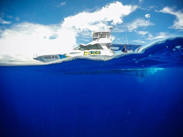 Police Boat Police Boat